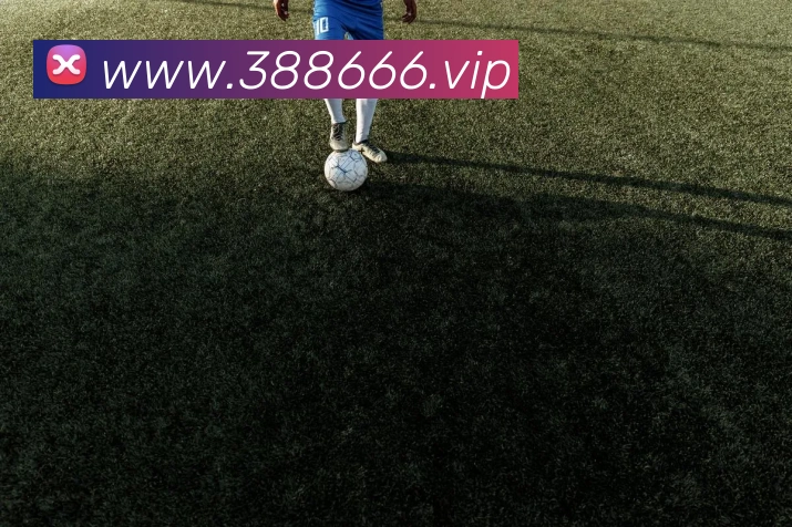 500彩票网官方全站App